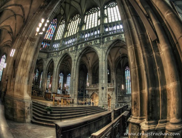 cds-cds-IMG_7930_proc